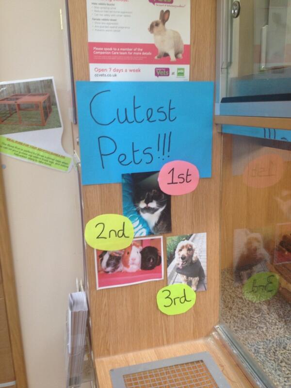 Pets at Home Bury tweet media