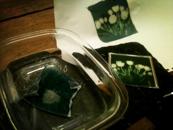 RetrographicCaf's tweet image. Work in progress @impossible_euro  #polaroidlift #springflowers