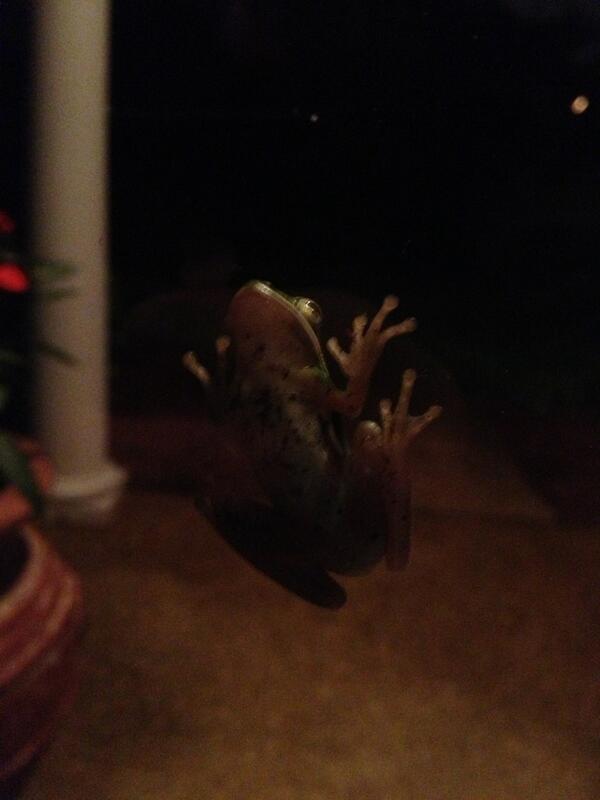 HoodTaylor's tweet photo. Well hey there little guy http://t.co/un3S5acQxI