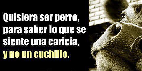 Esto es triste! ☺ <a href="/AnimaNaturalis/">AnimaNaturalis</a> ¿Porqué no somos todos veganos?