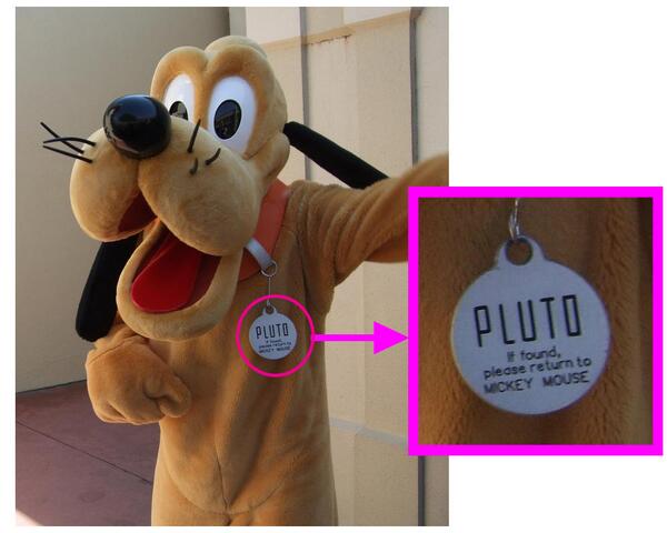 プルートの首輪に書いてあるメッセージ・・・ 「If found, please