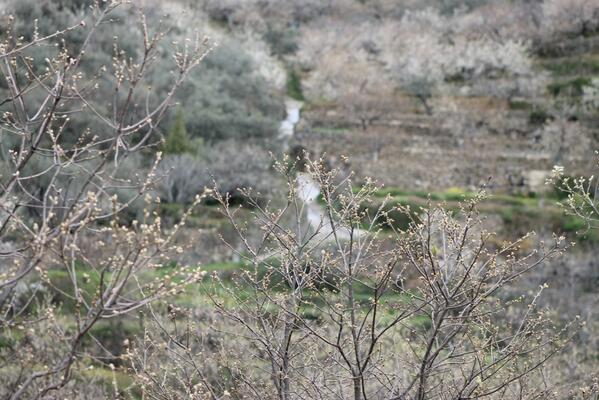 lunacandeleda's tweet photo. Buenos días ¡ arrancamos fin de semana en #Gredos http://t.co/zzgQvoVwe8