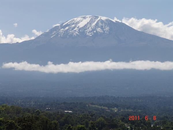 ndimangwa's tweet image. 