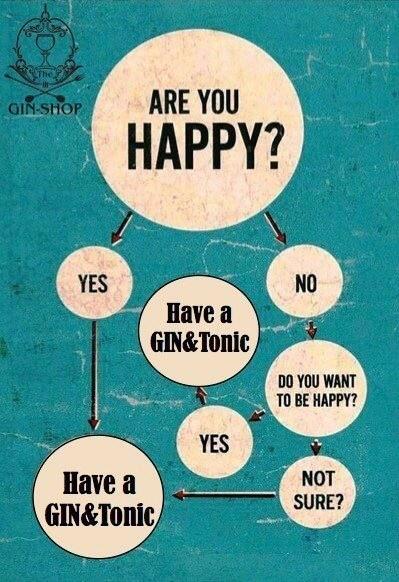 GinTonicGirl7's tweet photo. Pictograma para decidir si es el momento de tomarse un Gintonic: RT @GinLovers_ The perfect decision tree... ;-) http://t.co/H0VSnzVYUn