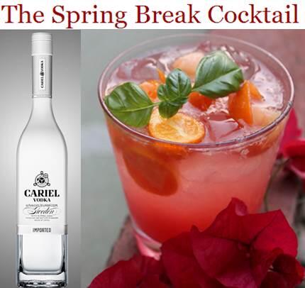 CarielVodka's tweet photo. the spring break cocktail http://t.co/fyDcNoMQHk let the sunshine in! #carielvodka http://t.co/tHynHV40X5