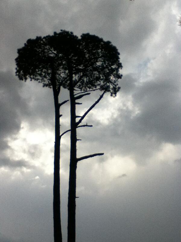 runvanrun's tweet photo. http://t.co/ysucMNj0Cx