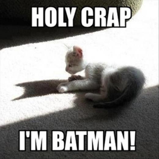 robertpuppet's tweet photo. I'm Batman http://t.co/O9Xeh6XEWh