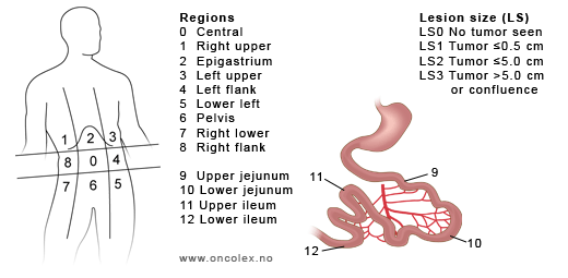 HIPECTreatment's tweet image. 