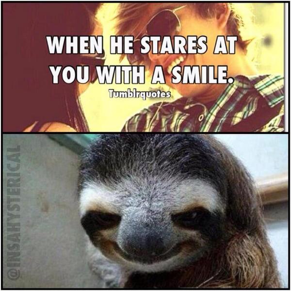 Clean Funny Sloth Memes