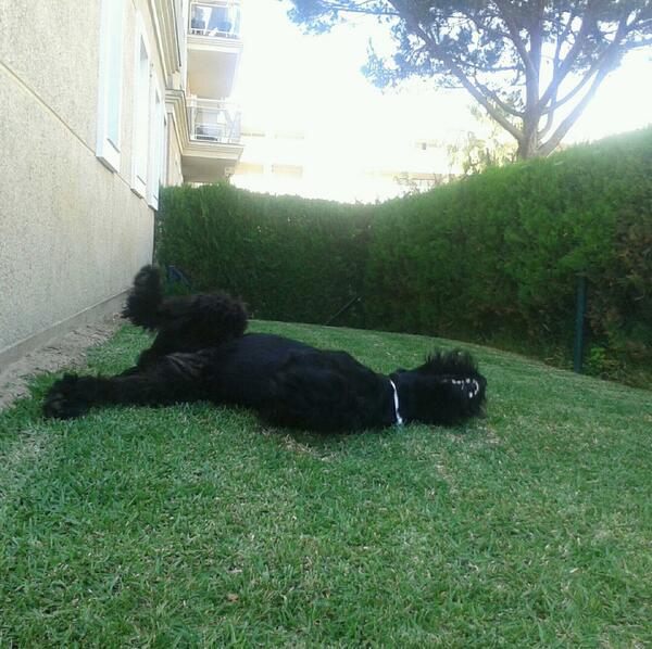 Relax. #Playa #Minivacaciones