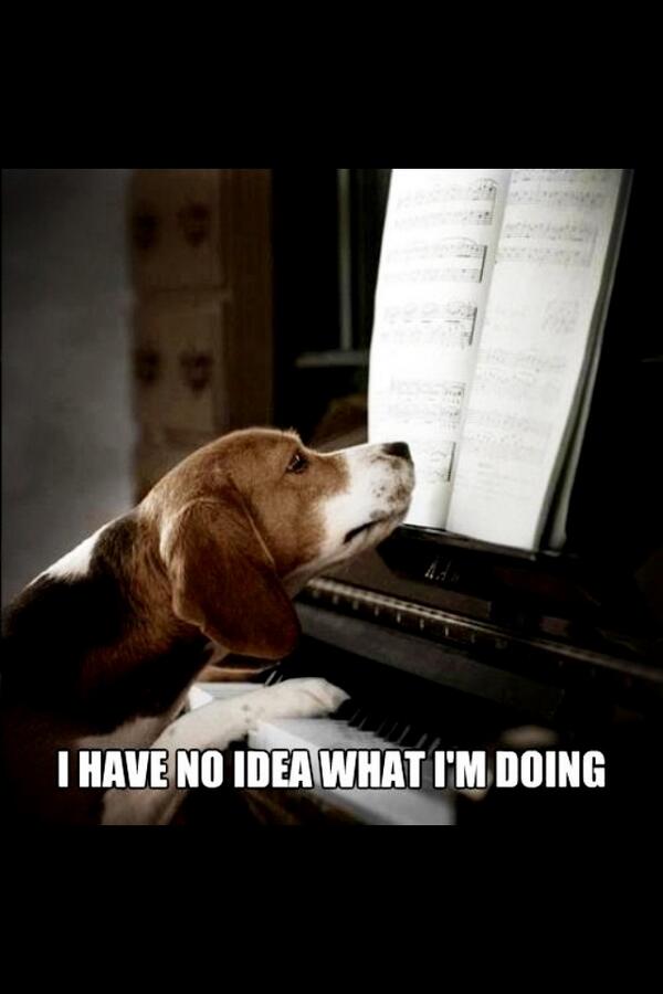 michelletrovato's tweet image. As a soprano, and in spite of 8 years of piano lessons, this is kinda how I feel all the time. ;) #singingproblems