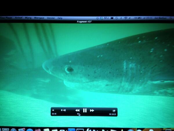 ivoborkus's tweet photo. Checking our underwaterfootage !! Looking good!  #freekinhetwild3 @freekvonk http://t.co/V7953wBiqy