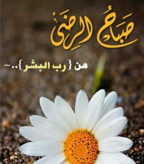 com90_d tweet picture