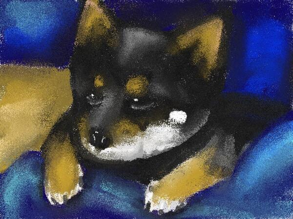 oshibana_i's tweet image. クロ #CrayonStyle