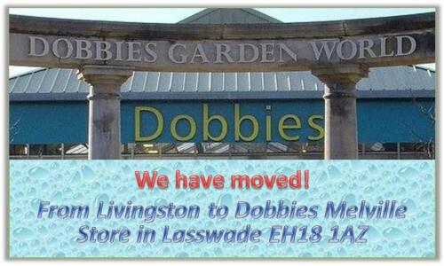 HotSpringCentra's tweet image. We have moved from Livingston to Dobbies Garden World, Melville, Lasswade, Edinburgh EH18 1AZ 
Tel: 0131 2021720