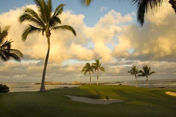 GolfCookBook tweet picture