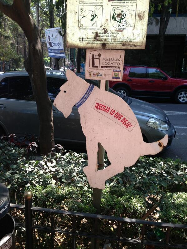 LaHarlem's tweet photo. Obey! #perras http://t.co/ilRkXeMKAM