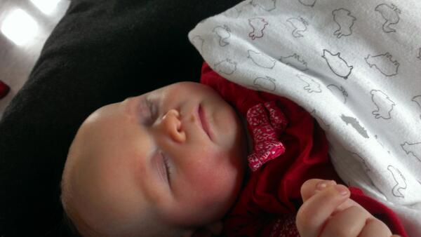 EvaJanssen_4's tweet image. Ondertussen op mn schoot: #Fiene #rozig #slapen