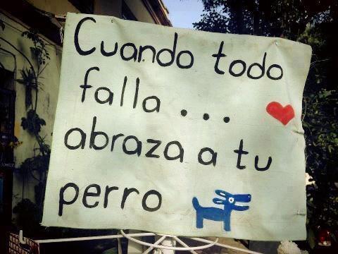 Cuando todo falla...abraza a tu perro!! :D
