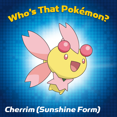 pokemon card raticate Pokemon Basic Uncommon Card