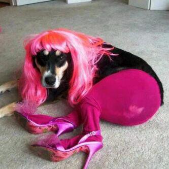 lareeeZz's tweet image. 