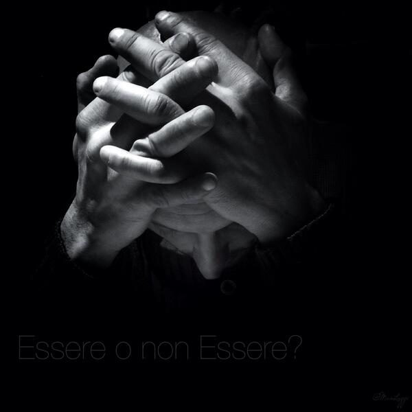 Max lazzi tweet media