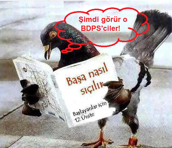 genciktisat's tweet photo. "@drcetiner: Şimdi görür o BDPS'ciler! http://t.co/oUakguMFKM"