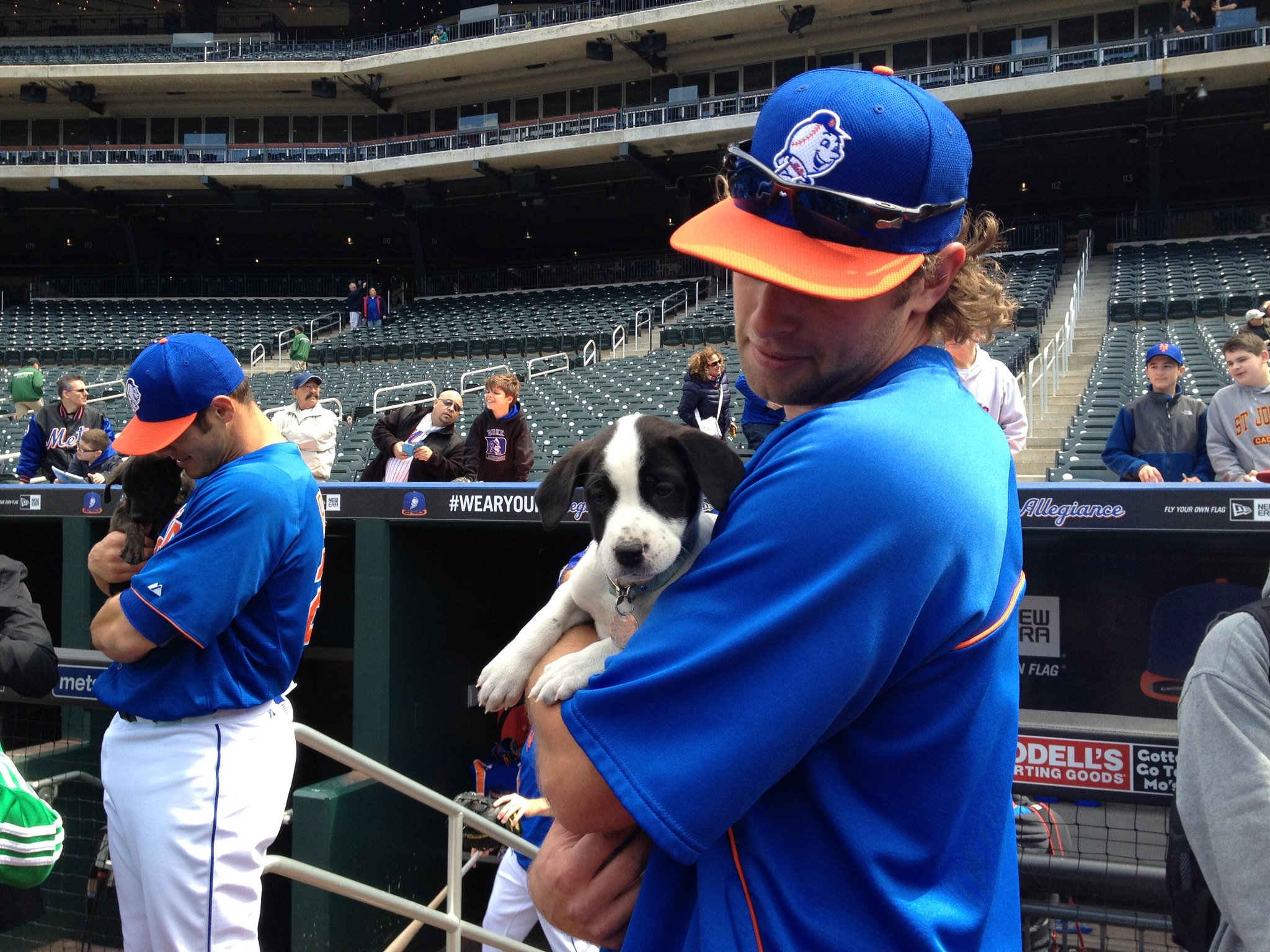 MLB on Twitter "Nothing to see here, just a baseball player holding a puppy http//t.co