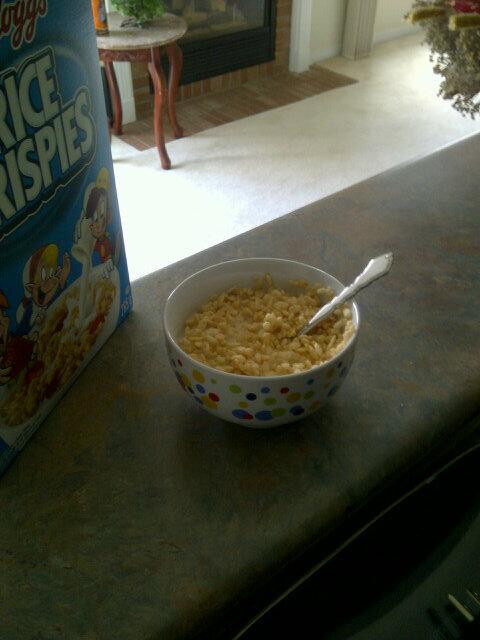 KOErrection's tweet image. First bowl of the day #420 #GettingLifted #Styll