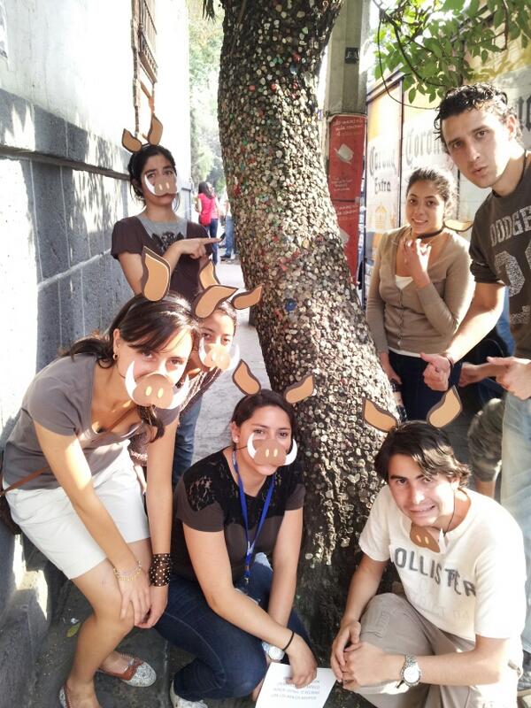 poomVas's tweet photo. Arbol de chicle coyoacan @AmazingRaceV #pumba http://t.co/CCSuwm1GTb