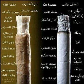 albarak_majed's tweet photo. شوف الفرقًبين الصورتين http://t.co/wjcmK8EnMS