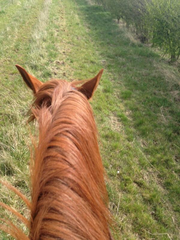 Jess_Claark's tweet image. This is the life #weekoff #hacktime