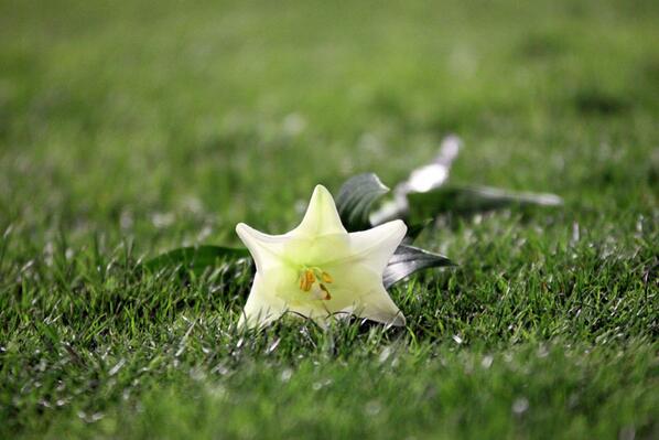 Ciao Vinicio Artuso.  From everyone who cares about Italian rugby.