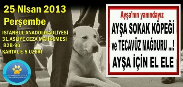 Ayşa bir sokak köpeği, tecavüz mağduru! Ona destek vermek için - hayvansevergazetesi.com/haber_detay.as… -  - <a href="/ahusungur1/">ahu sungur</a>