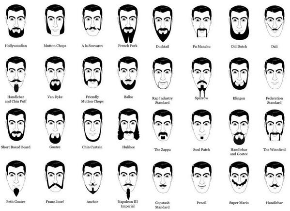 Bbbbeardd's tweet image. What kind of #beard do you want?