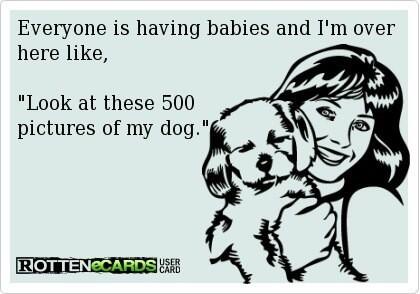 I have literally never seen a more accurate picture of me hahaha http://t.co/aOgryLsieo<a href="/tag/plzkillme"class="tags"><span>#plzkillme</span></a>