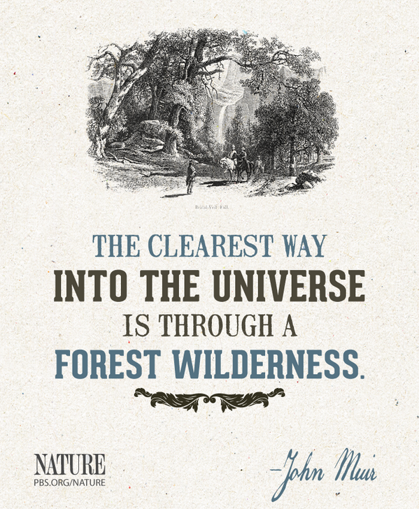 PBSNature's tweet photo. Today naturalist and conservationist John Muir would have been 175. http://t.co/PXACcIsLYH
