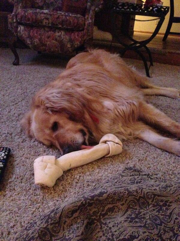 Gustertweets's tweet photo. Truthfully... #iatethebones http://t.co/6AQgZmCmUW
