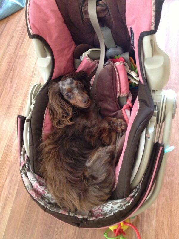 jduncanone's tweet photo. Kid tested Doxi approved http://t.co/OGAWXyCnSU