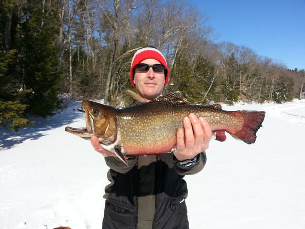 JackTraps's tweet photo. Hello Twitter! Lets see all the big fish you've caught with your #JackTraps http://t.co/Fn0lidXXgn