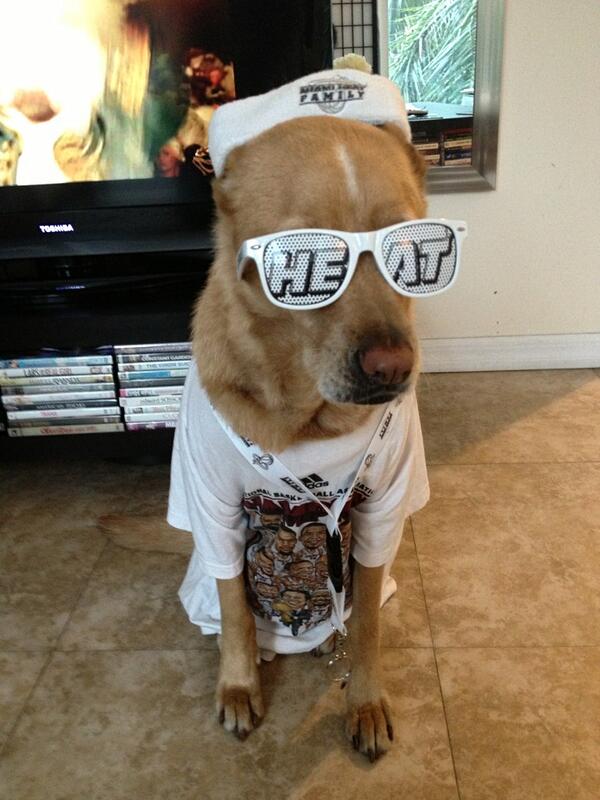 AshaLoring's tweet photo. Bailey is White Hot HEAT ready! Let's Go HEAT!! #whitehotheatfan #playoffs http://t.co/4GPjgTIuTD