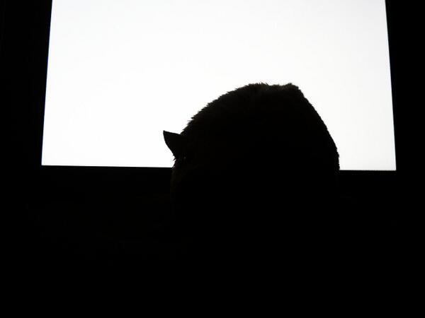 Hadleykry's tweet photo. #GPNpj3 http://t.co/NXeTxoodRr