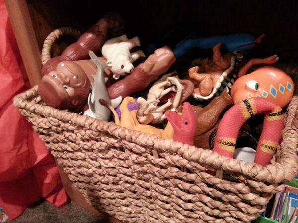 Viewer discretion: caged animals fight for survival...