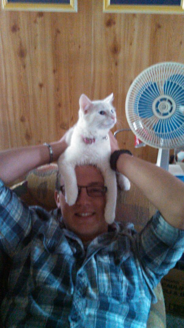 CasparWilliams's tweet photo. @CancerTweetment My cat Beenie #albeenie http://t.co/7P1rs73mZZ