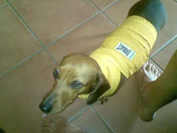 Everlast SA tweet media