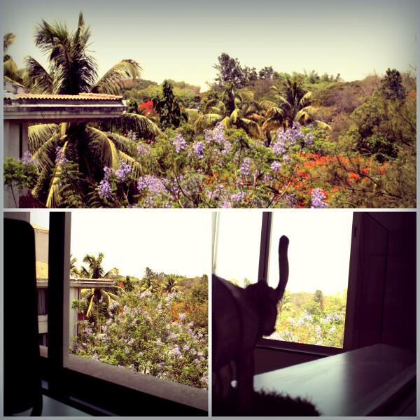 studioHAUSin's tweet photo. The View from our Studio @studioHAUSin #Beautiful #Summer #HappyEarthDay! #Monday http://t.co/iXRHYXwpFb