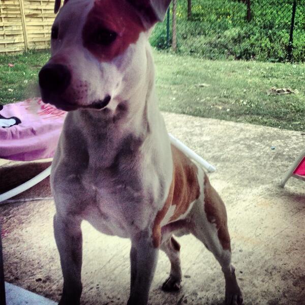 BarolleC's tweet image. #ourpitpage