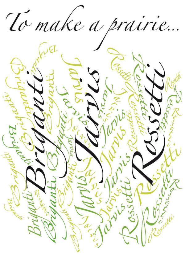 TO MAKE A PRAIRIE... Briganti/ Jarvis/ Rossetti// Curated by Susanna Gualazzini/ April 24 - June 2, 2013