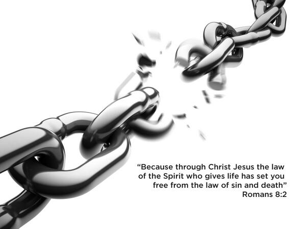 ArkPages.com tweet media