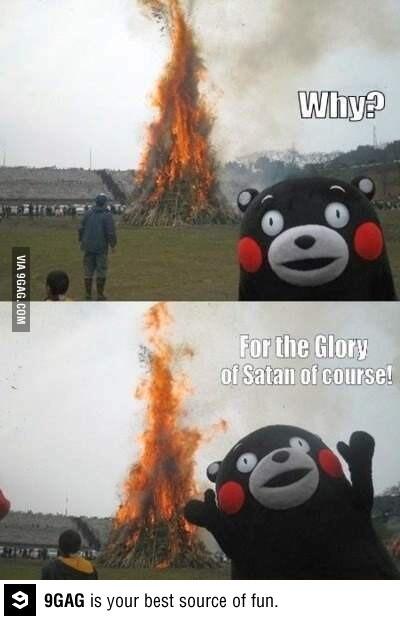Gambigio's tweet photo. My favorite picture on the internet http://t.co/hwlwQZ9Qcl